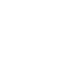 Módulo 6